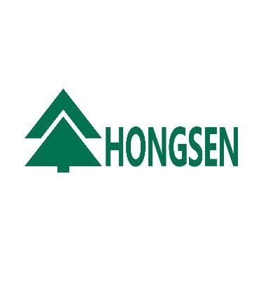 АВТОМАТИКА HONGSEN